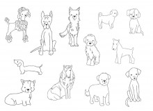 Stickserie - Doodle Hunde
